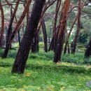 솔바람공원 화장실 이미지