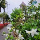 용당우리의원 이미지