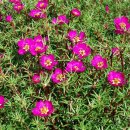 우리농장2 이미지