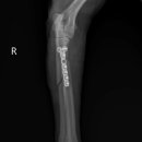 광진24시 필동물병원 이미지