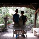 희명라이프 | 광명철산동,소하동,석수동><허벌라이프>< 정품 가격 효과 후기 불만 성공 실패 관리 허벌라이프식사대용식>