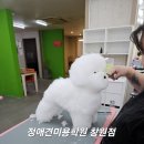 미용사 자격증 야간 이미지