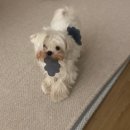 제이엔비호텔 이미지