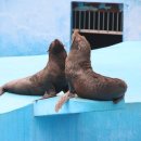 달성공원 이미지