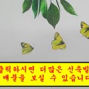양벌약국 이미지