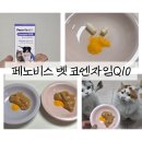 케어벳 | 강아지 고양이 심장영양제 추천! 수의사가 설계한 '페노비스 벳 코엔자임Q10' 급여 후기 (항산화 케어)
