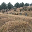 충주시 공설묘지 이미지