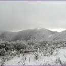 안성리-2 이미지