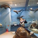 하이농장 이미지