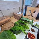 대가손두부 | 2025 청주 밀레니엄타운 근처 직장인 점심 [대가손두부]에서 건강하게 해결!