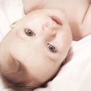 노박젠틀브이의원 이미지