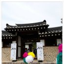 2020-03-31(화)경북봉화 띠띠미마을 산수유축제-무섬마을 외나무다리 건너기 이미지