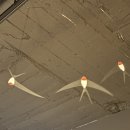 시민맥주 이미지