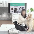 (주)한국반려동물아카데미 이미지