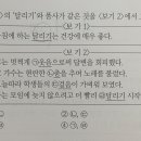 국어의고수