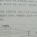 ABA 질문이용 이미지