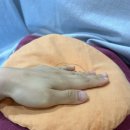 [창원/마산 빛채움에스테틱] 리프팅관리, V라인 찾았어용💓