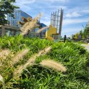 마곡문화거리 이미지