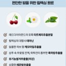잠들기 힘든 육아맘의 수면관리템, 락티브 멜라드림 내돈내산후기(오은영 멜라토닌)