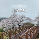 컴포즈커피 강릉솔올점 | 2026 강릉 경포벚꽃축제 실시간 다녀온 후기 ① - 경포벚꽃축제 (다양한 체험존부터 포토존까지 )