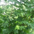 (유)해동환경 이미지