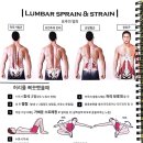 칠보한의원 이미지