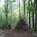 비래초교 이미지