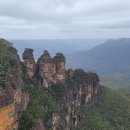 블루마운틴 이미지