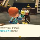 레인보우캠핑장 이미지