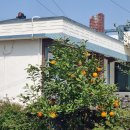 주차59 | 제주 남원읍 맛집 보말죽 보말칼국수 공새미59 주차정보 메뉴 # 올레길 5코스 공천포구 근처