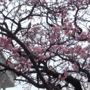 선비뜨락 이미지