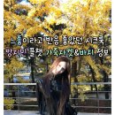 BK바이크 | 느좋이라고 반응 좋았던 시크룩!이즈나 방지민 플챗 가죽자켓,바지 정보(아캄/시너진)