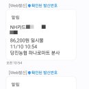 당진농협하나로마트분사 네이버블로그