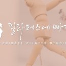 신사-115 이미지