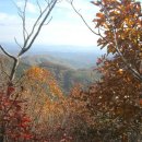 원창2리 이미지