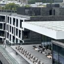 법환동-23 | [제주 7일] JW 메리어트 제주 더라운지 상하이 포핸즈 하이티 후기