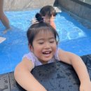 (주)해브펀