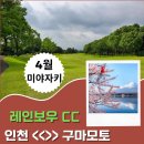 레인보우골프 이미지