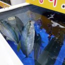 대포항 제1주차장 이미지