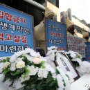 민주당구장 이미지