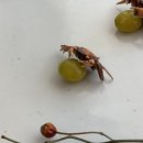 양평 오찬회동, 양평 한정식 코스, 양평 상견례 식당