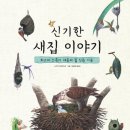 새집 이미지