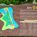 수변공원길 이미지