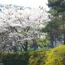 어야가자