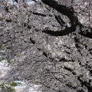 장미대교 교통섬 이미지