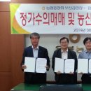 법인정가