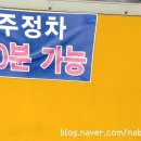 황금손왕만두