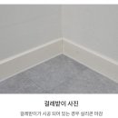 진산로 이미지