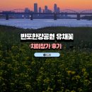 반포한강공원 유채꽃 피크닉 베어스타코 이수사당점 치미창가