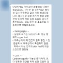 연두동물병원 | [고양이 심장병 검사] 연두의 심장초음파 후기 — HCM·VHS·심장크기·검사비용 정리